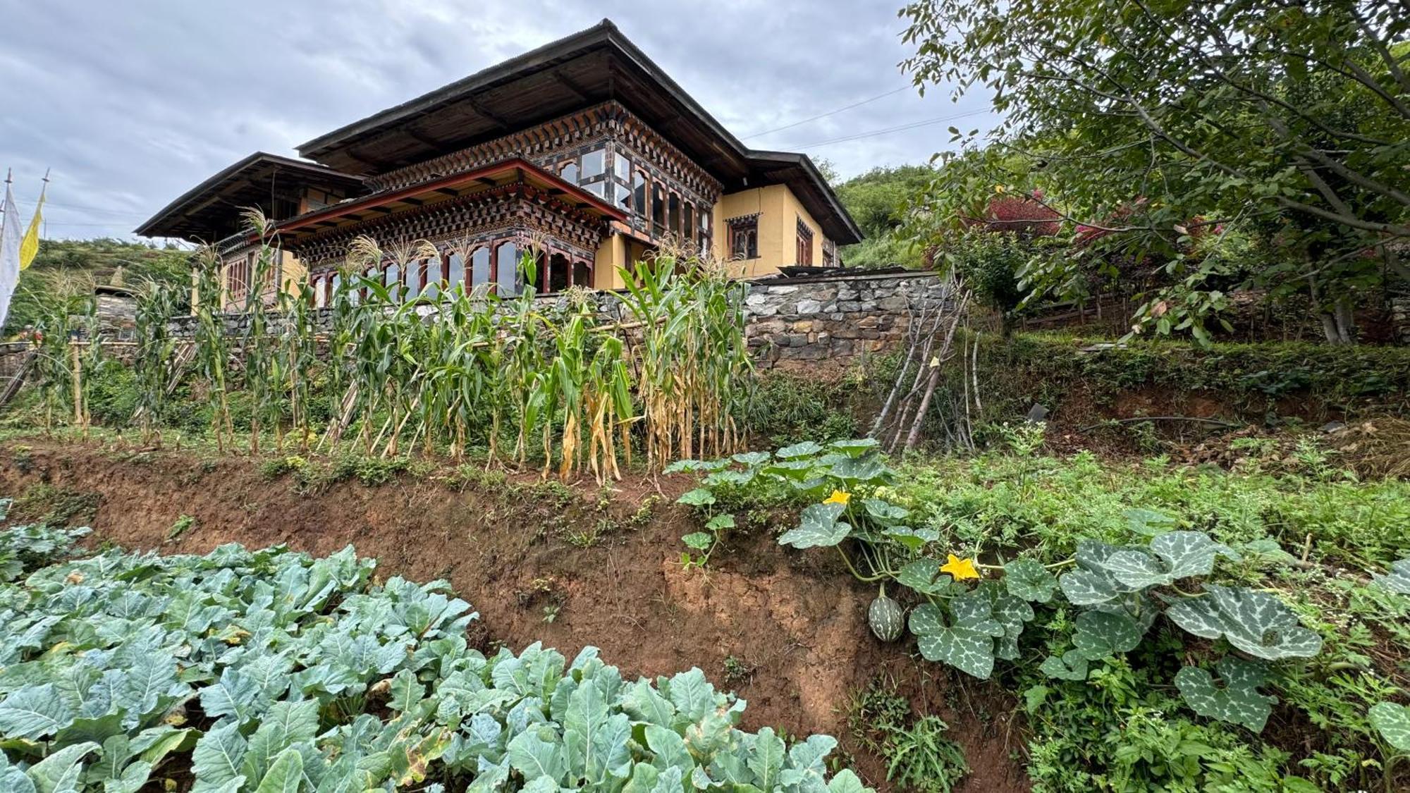 Wangdue Ecolodge Wangdue Phodrang Esterno foto