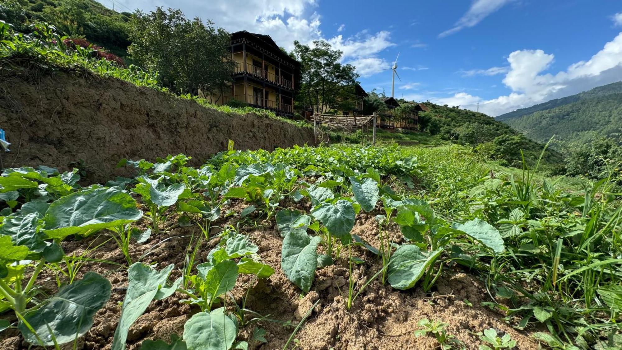 Wangdue Ecolodge Wangdue Phodrang Esterno foto