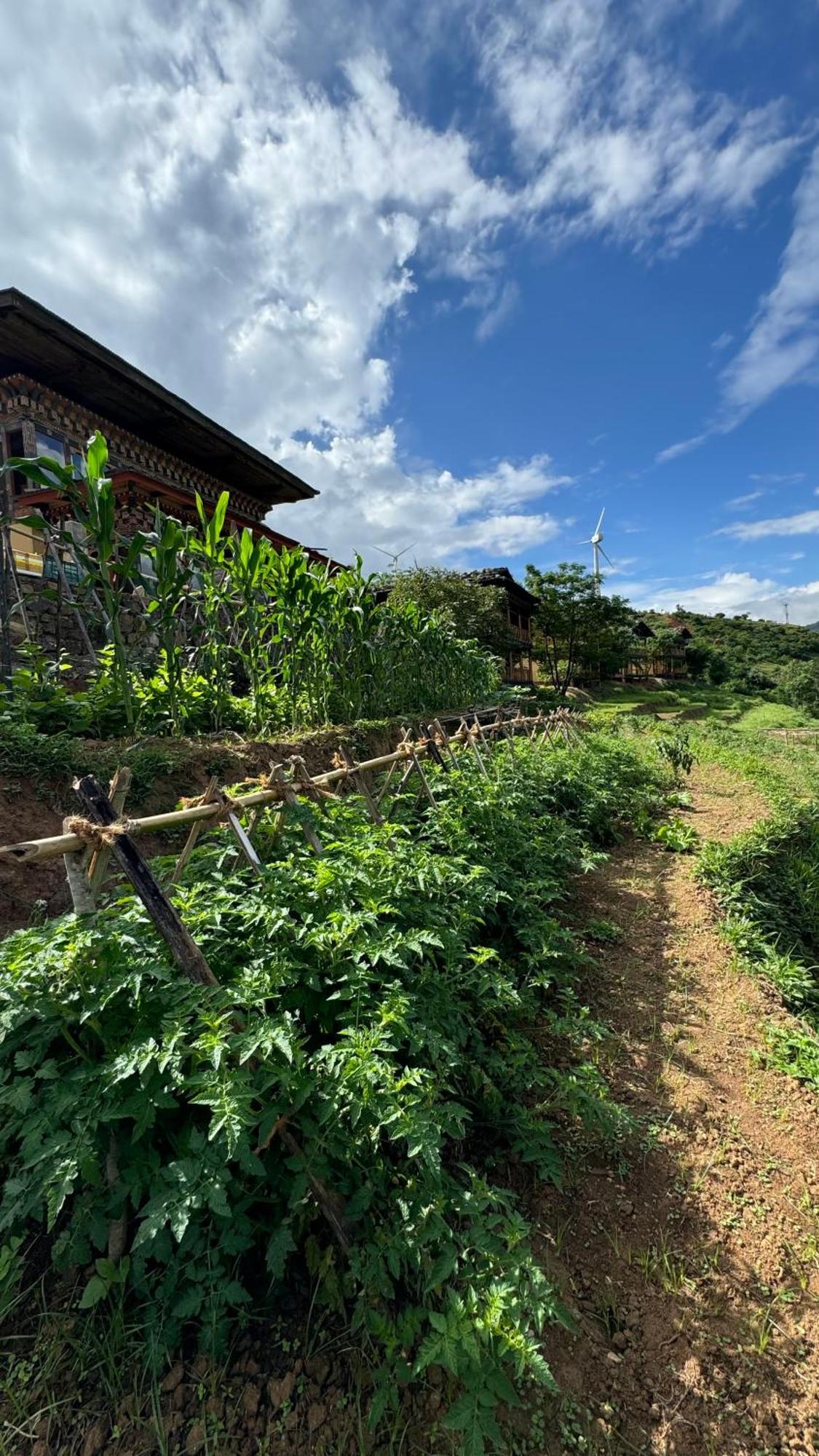 Wangdue Ecolodge Wangdue Phodrang Esterno foto
